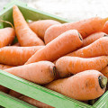 Box of Carrots